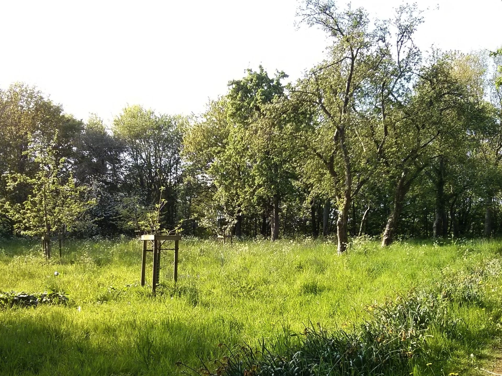 HochdorferGartenFahrradRundweg