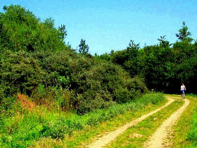 Fahrradfahren im Katinger Watt